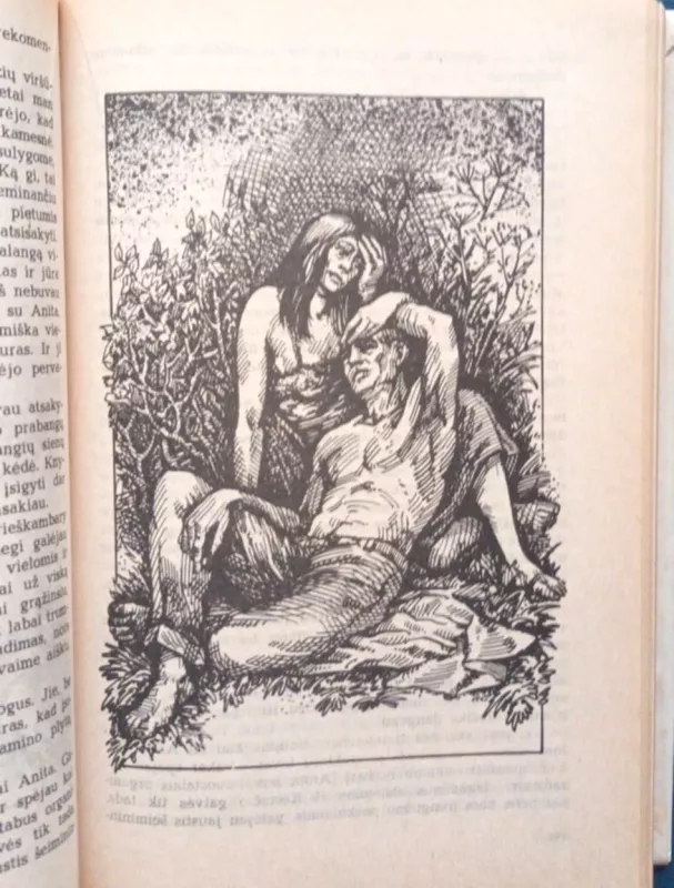 Raudonmedžio rojus. Kanarėlės - Vytautas Sirijos Gira, knyga 4