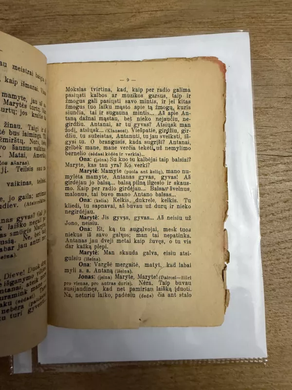 Leitenantas Antanas 1935 m. - Stasys Žematis, knyga 4