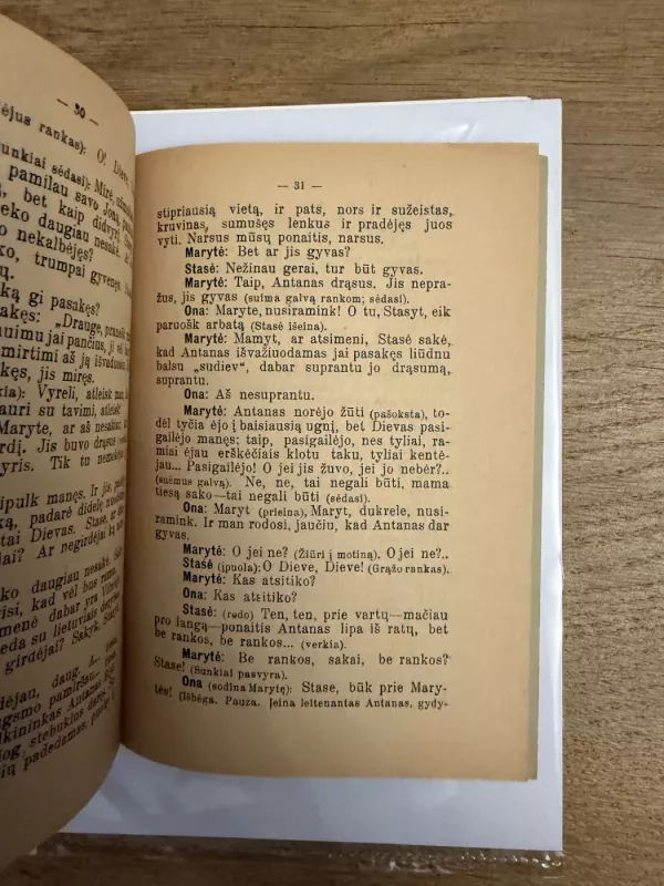 Leitenantas Antanas 1935 m. - Stasys Žematis, knyga 6