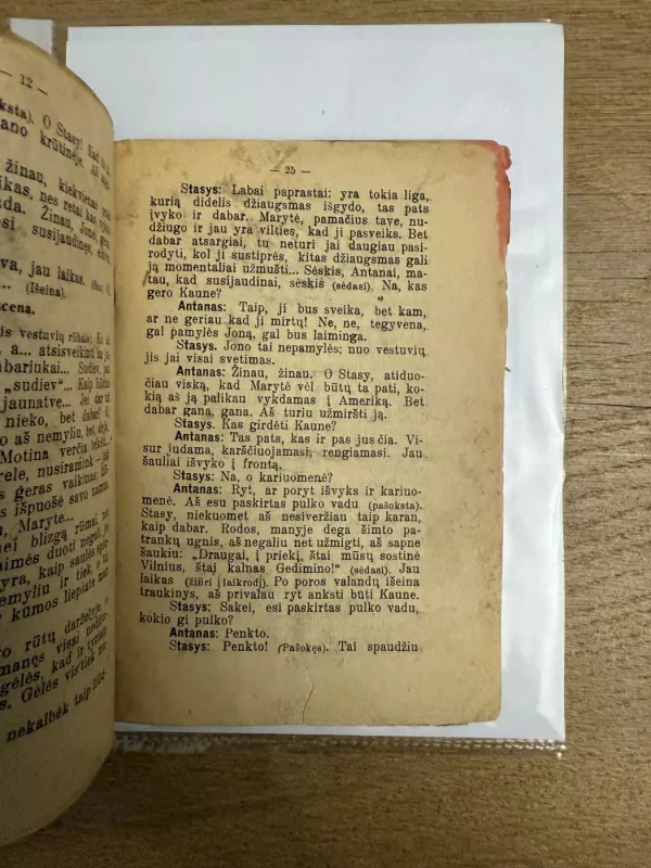 Leitenantas Antanas 1935 m. - Stasys Žematis, knyga 5