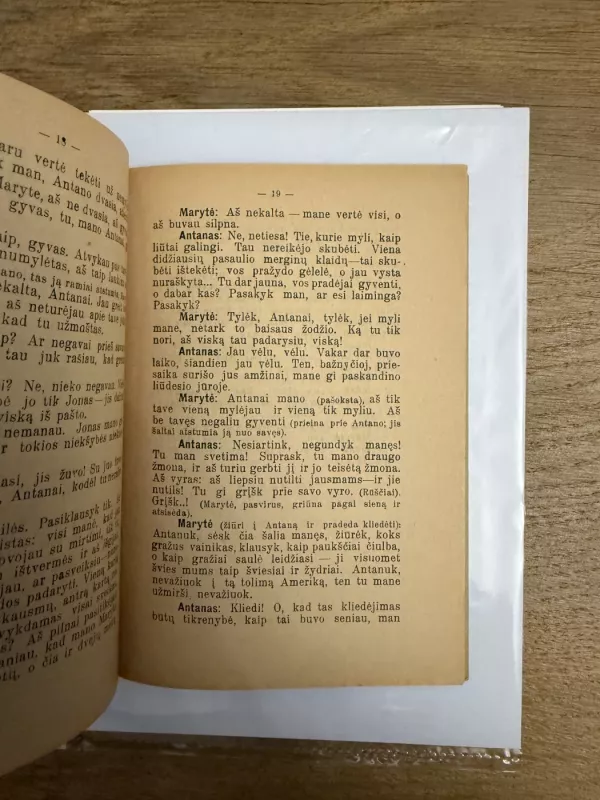 Leitenantas Antanas 1935 m. - Stasys Žematis, knyga 5