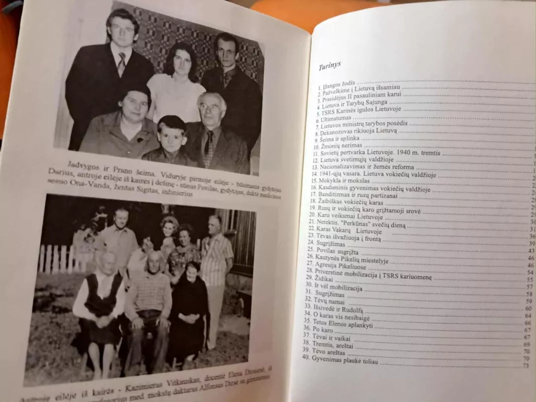 XX amžiaus srovės. Karas. Žmonės ir aplinka - Zinaida Vitkauskienė, knyga 4