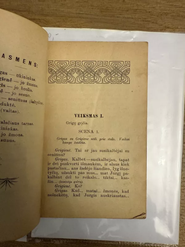 Jurgis- durnelis 1908 - Gabrielius Landsbergis-Žemkalnis, knyga 5