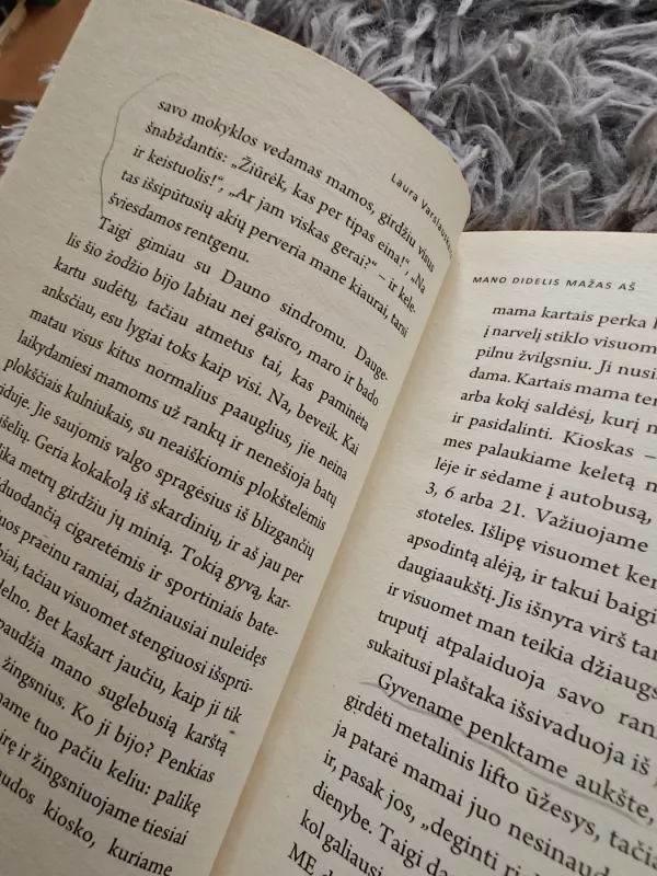 Mano didelis mažas aš - Laura Varslauskaitė, knyga 4