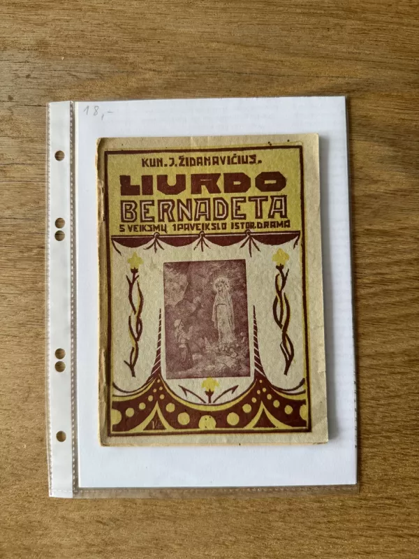 Liurdo Bernadeta 1928m. - J. Židanavičius, knyga 2