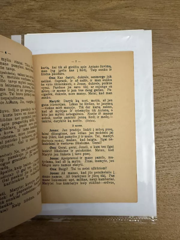 Leitenantas Antanas 1935 m. - Stasys Žematis, knyga 3