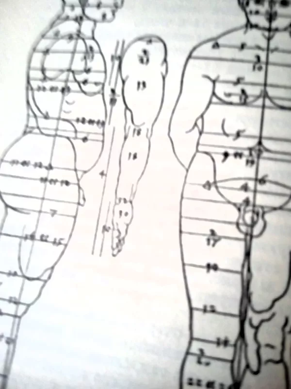 Albrecht Diurer - Albrecht Diurer, knyga 4