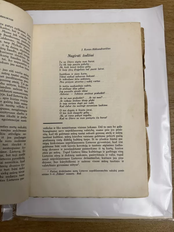 Židinys 1938 m. Vasario mėn. Nr2 - Autorių kolektyvas (įvairūs), knyga 4