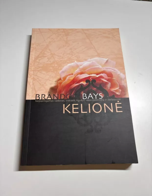 Brandon Bays Kelionė - Brandon Bays, knyga 2