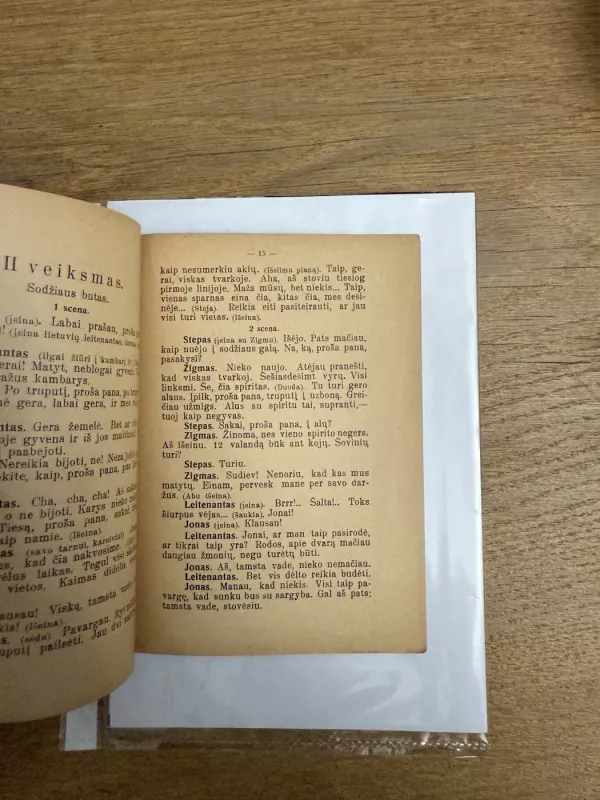 Lietuvos didvyriai 1934m. - Stasys Žematis, knyga 6