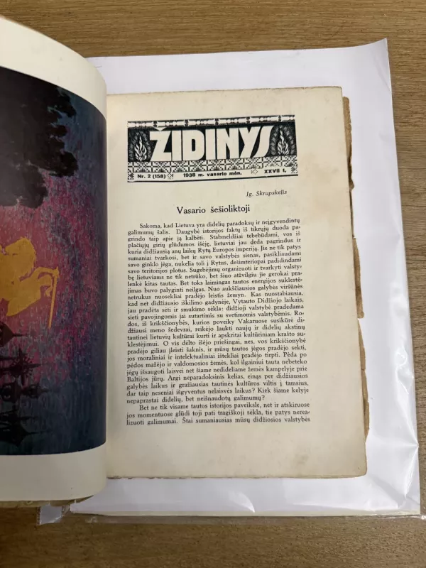 Židinys 1938 m. Vasario mėn. Nr2 - Autorių kolektyvas (įvairūs), knyga 3