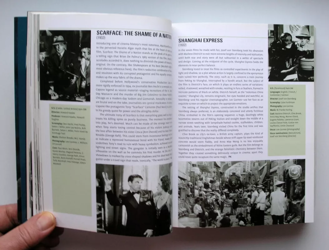 1001 Movies You Must See Before You Die - Steven Jay Schneider, knyga 4