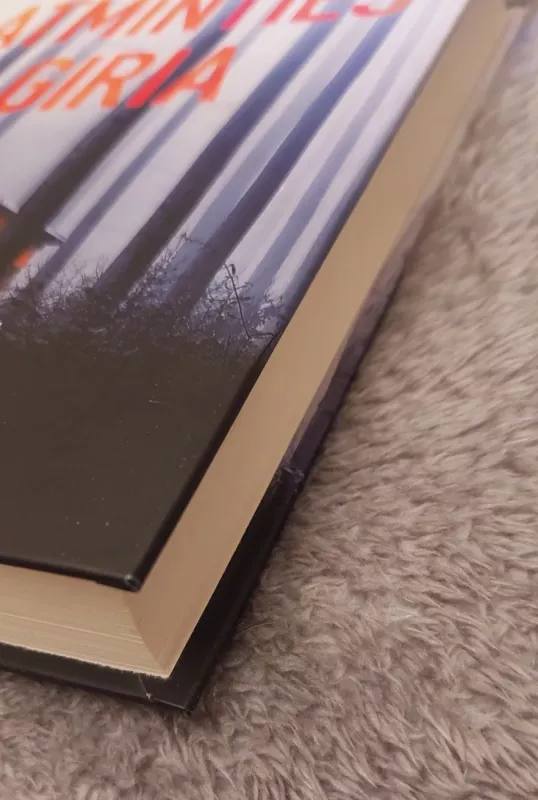 Atminties Giria - Sam Lloyd, knyga 4