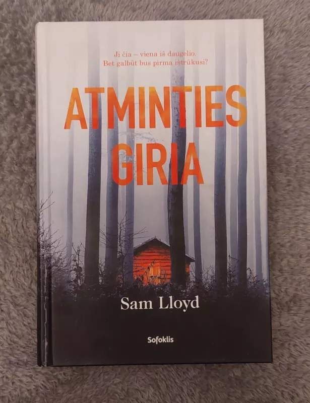 Atminties Giria - Sam Lloyd, knyga 2