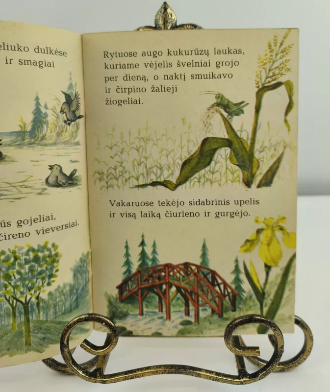 Peliukas muzikantas - Adelaide Holl, knyga 2