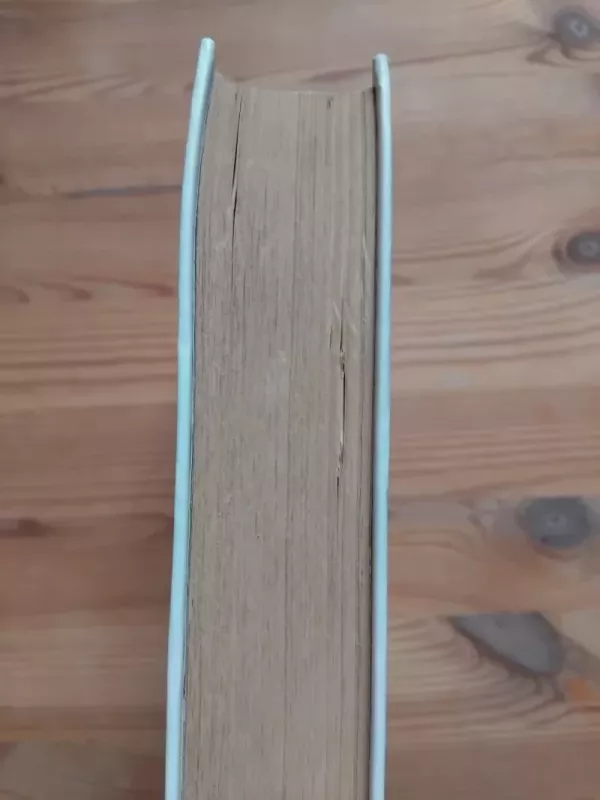 Poezija. Die Gedichte - Rainer Maria Rilke, knyga 4