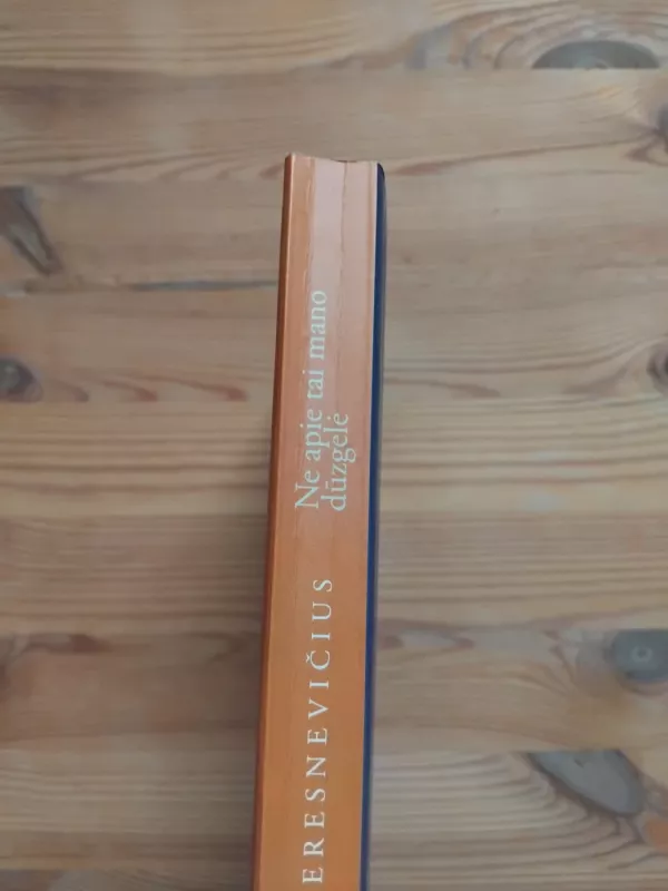 Ne apie tai mano dūzgelė: eseistika ir publicistika - Gintaras Beresnevičius, knyga 3