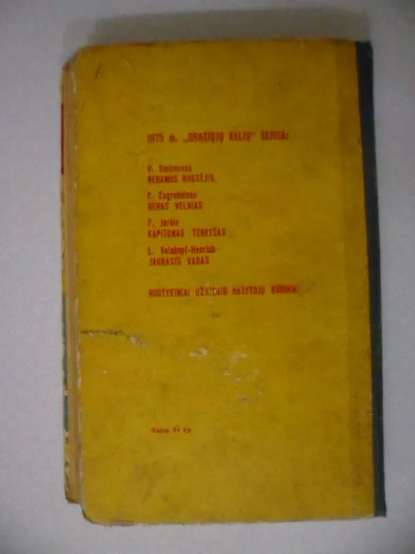 Jaunasis vadas - Lizelotė Velskopf-Henrich, knyga 4