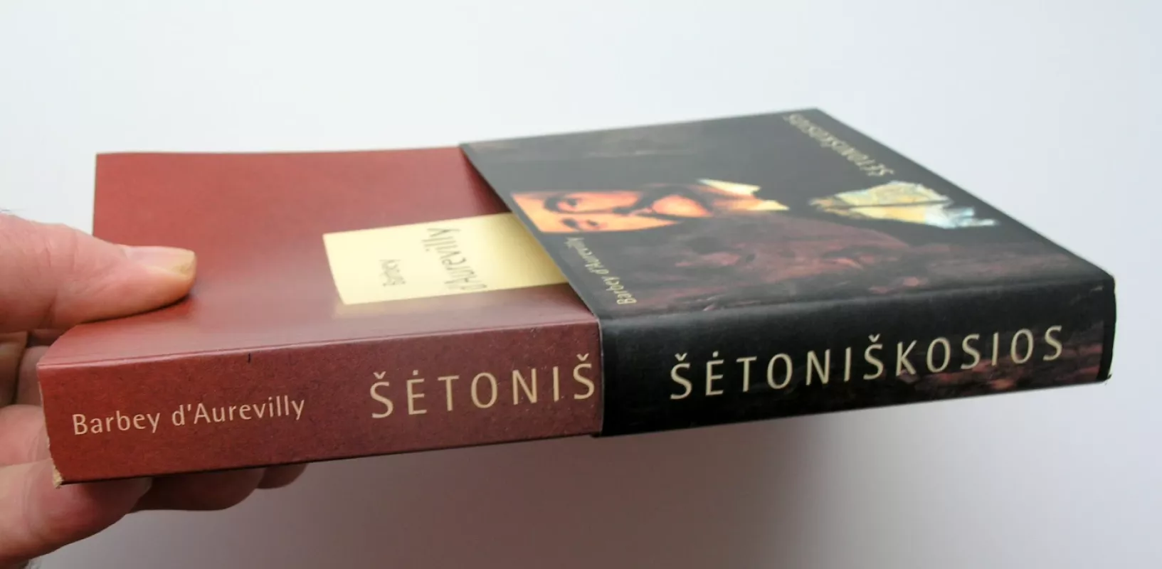 Šėtoniškosios - Barbey d'Aurevilly, knyga 5