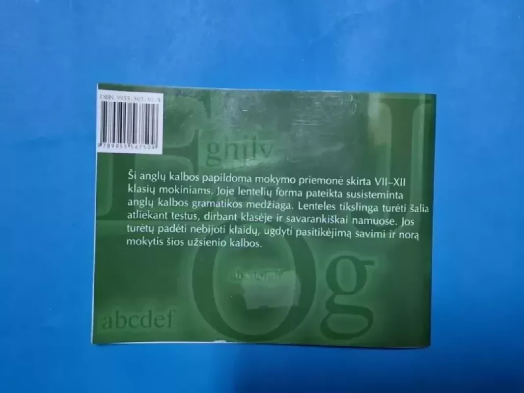 Anglų kalbos gramatikos lentelės - Autorių Kolektyvas, knyga 3