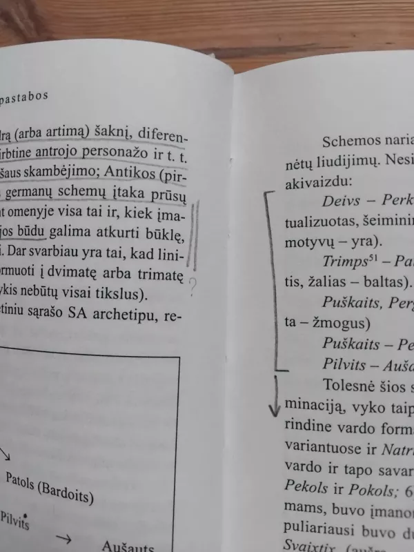 Baltų mitologijos ir ritualo tyrimai - Vladimiras Toporovas, knyga 4