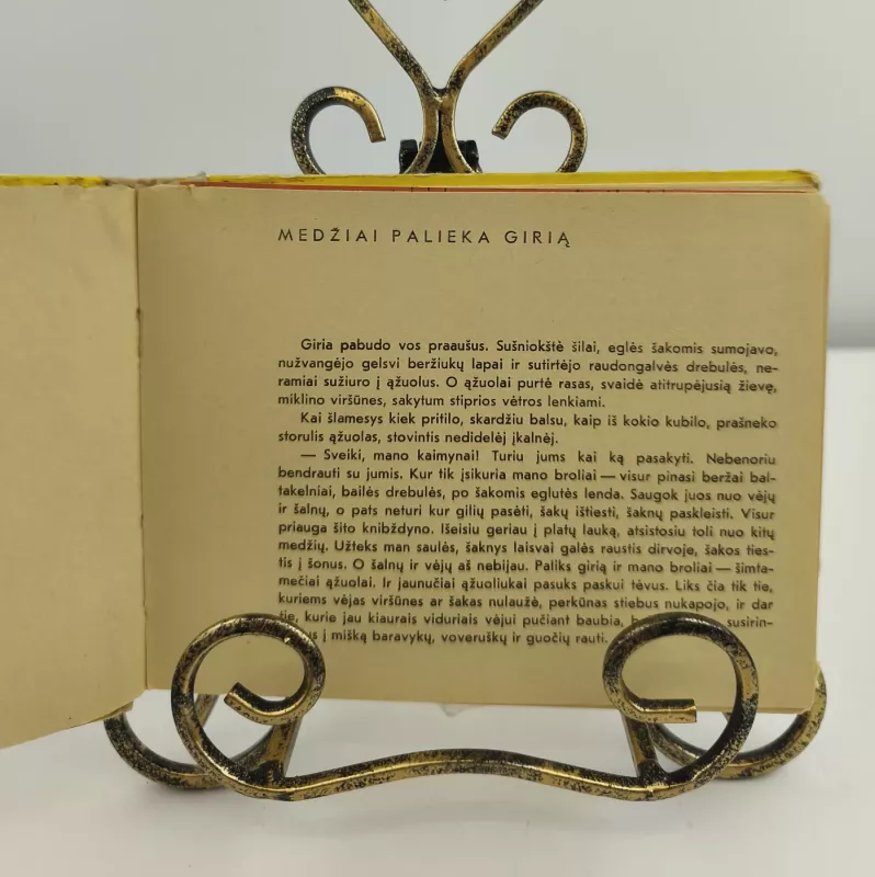 Grybų karnavalas - Gediminas Isokas, knyga 2