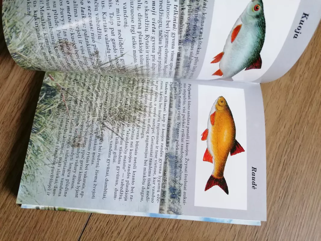 Žvejo ABC - Vincent Kluwe-Yorck, knyga 6