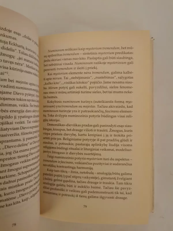 Religijotyros įvadas - Gintaras Beresnevičius, knyga 4