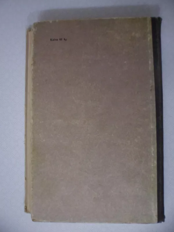 Tvirtovė - T. Dreizeris, knyga 4