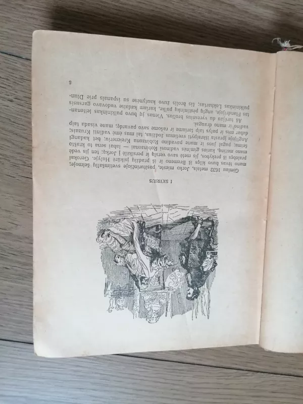 Robinzonas Kruzas - Danielius Defo, knyga 5