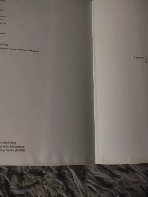 Esu tyloje - Ugnius Leimontas, knyga 3