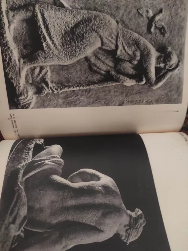 Lietuvių tarybinė dailė. Skulptūra - Stasys Budrys, knyga 6