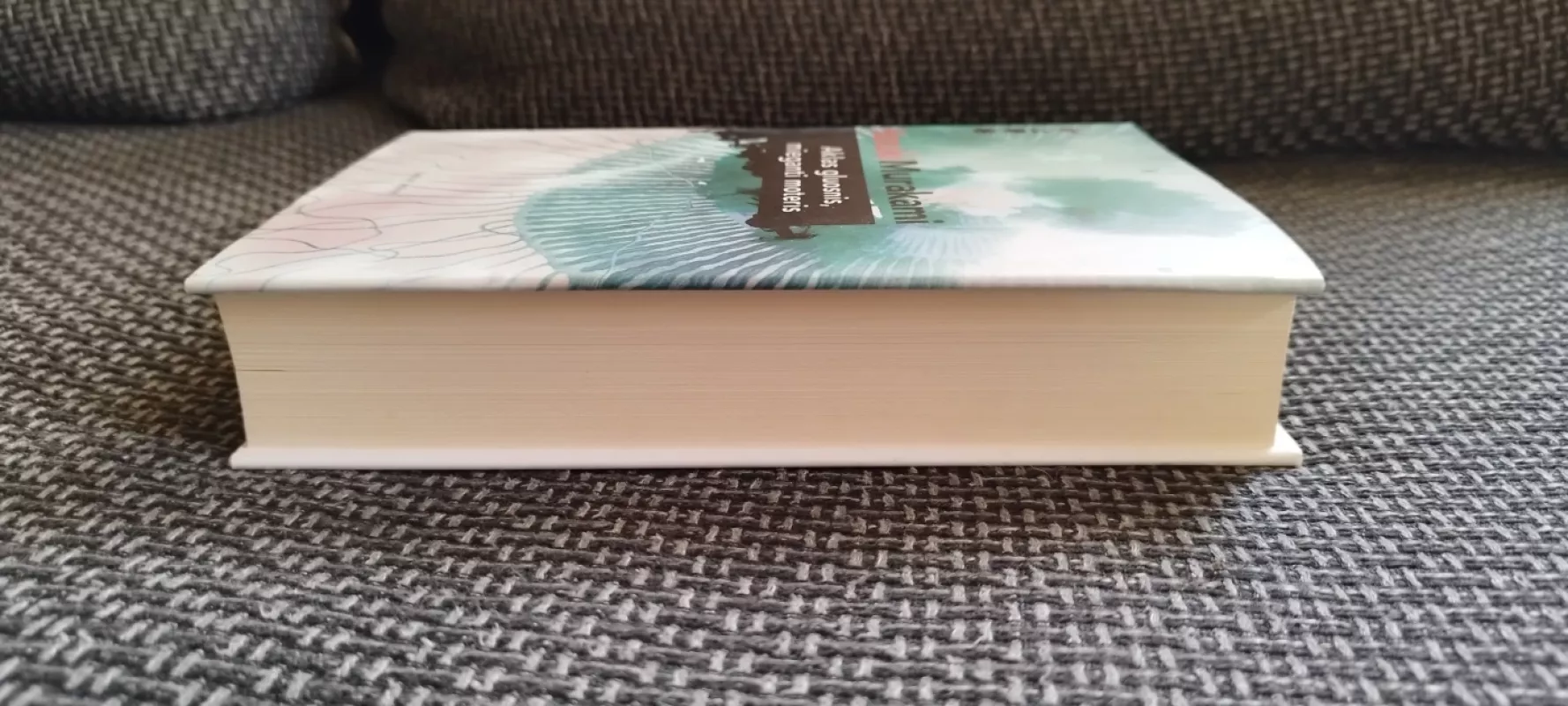 Aklas gluosnis, mieganti moteris - Haruki Murakami, knyga 5