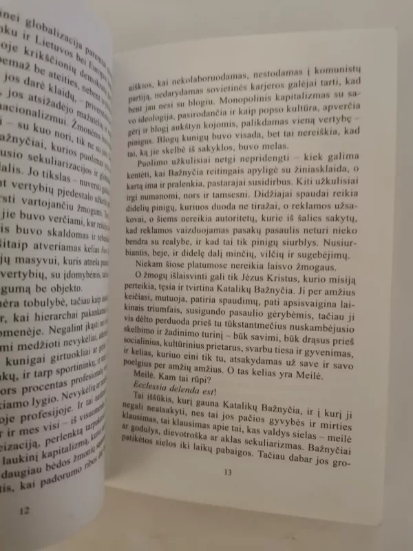 Naujojo atgimimo išvakarės - Gintaras Beresnevičius, knyga 4