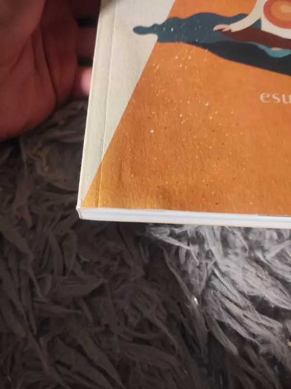 Esu tyloje - Ugnius Leimontas, knyga 4