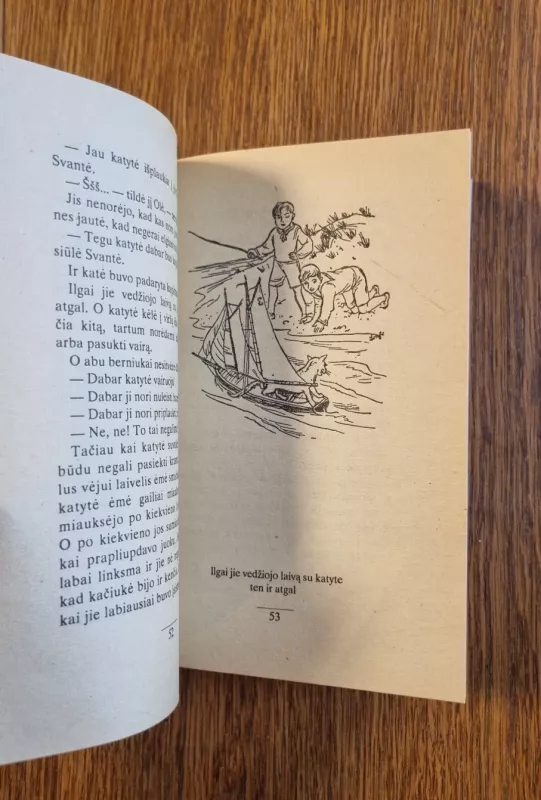 Mano berniukai - Gustavas Geijerstamas, knyga 5