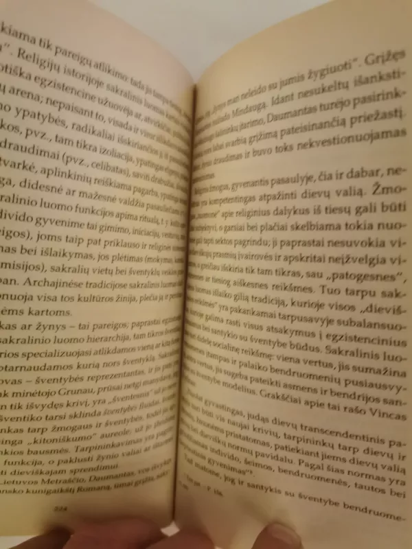 Religijotyros įvadas - Gintaras Beresnevičius, knyga 6