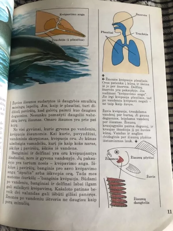 Žmogus ir visata. Gyvūnų pasaulis - Pollock Steve, knyga 5