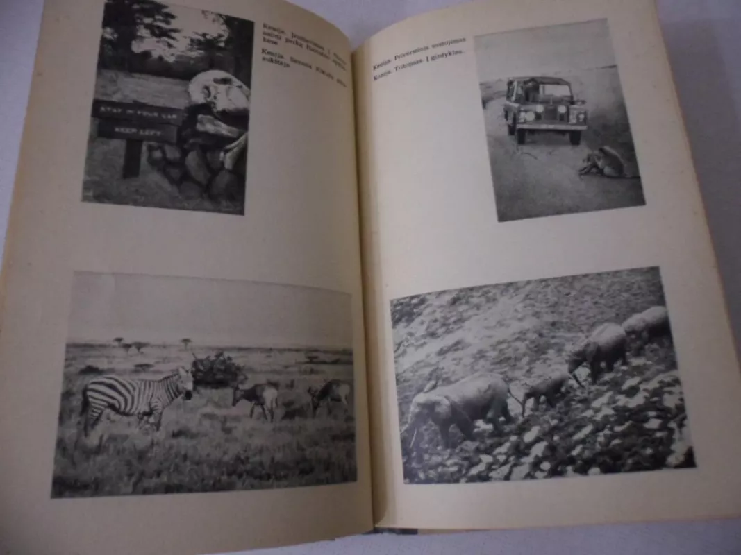 Mėnulio kalnai - Igoris Zabelinas, knyga 4