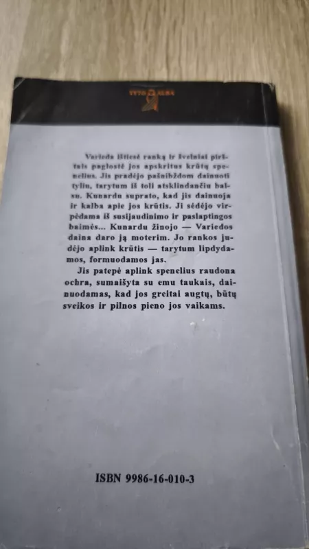 Šulinys pavėsy - Autorių Kolektyvas, knyga 4