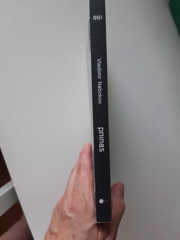 Pninas - Vladimir Nabokov, knyga 4