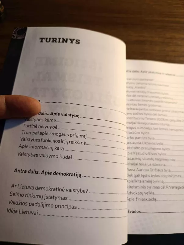 Išsigimę teismai, sužlugdyta valstybė - Aldona Meilutytė, knyga 4