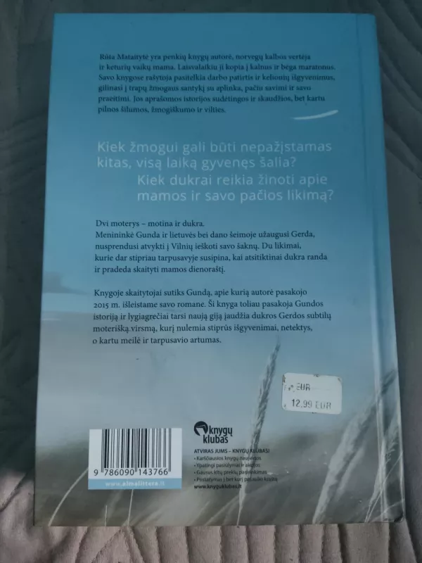 Pavogtas dienoraštis - Rūta Mataitytė, knyga 3