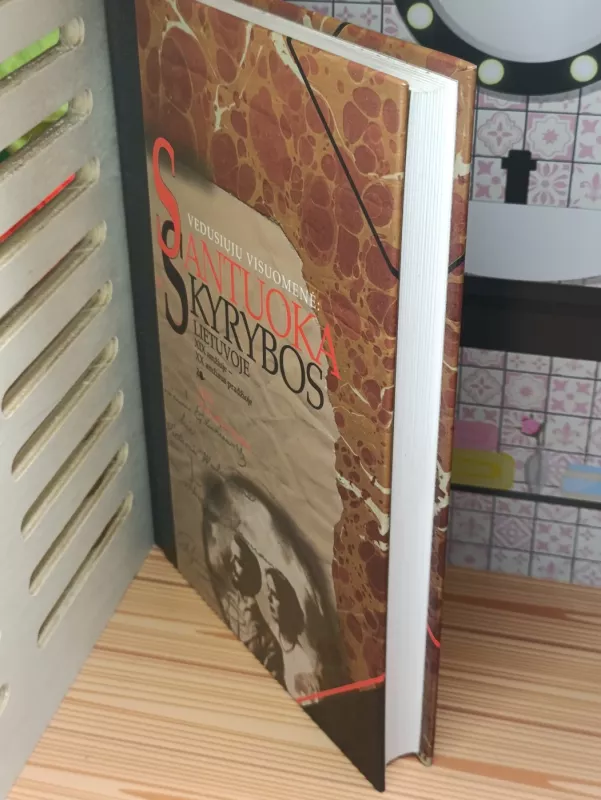 Vedusiųjų visuomenė: santuoka ir skyrybos Lietuvoje XIXamžiuje-XX amžiaus pradžioje - Dalia Marcinkevičienė, knyga 3