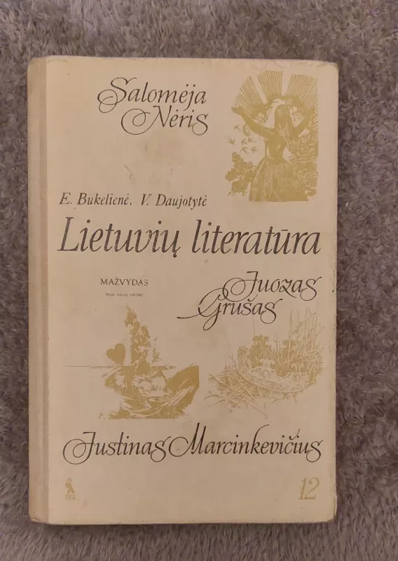 Lietuvių literatūra 12 - E.Bukelienė, V.Daujotytė, knyga 2
