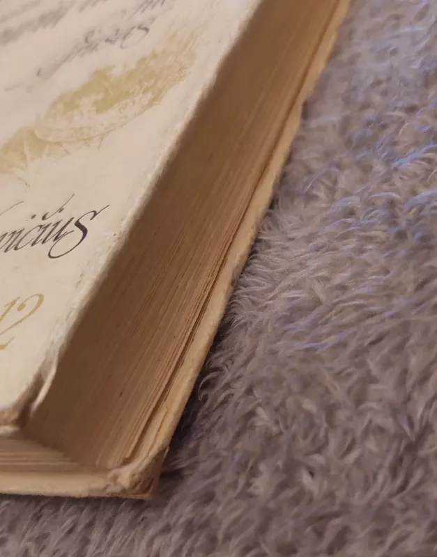 Lietuvių literatūra 12 - E.Bukelienė, V.Daujotytė, knyga 5