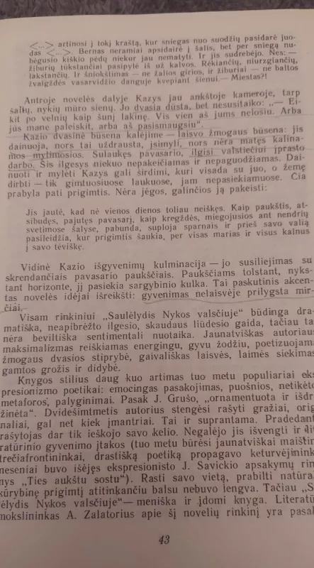 Lietuvių literatūra 12 - E.Bukelienė, V.Daujotytė, knyga 6