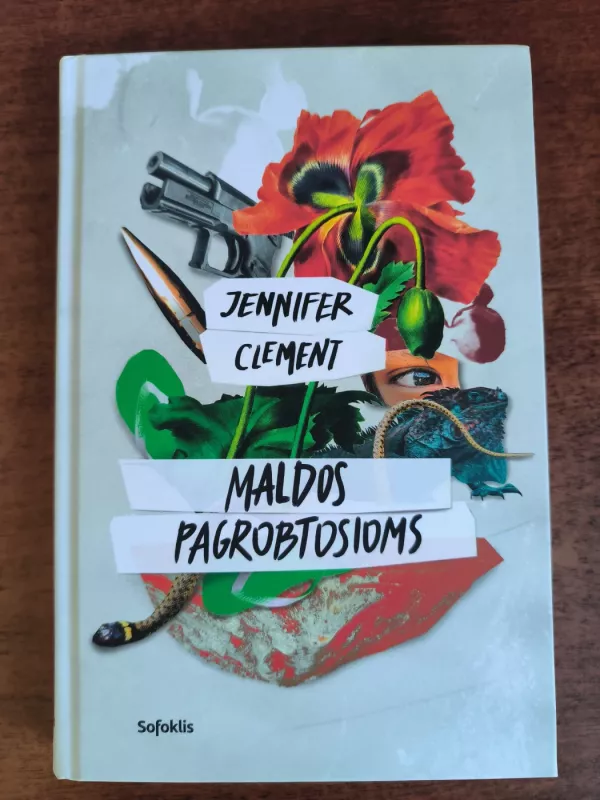 Maldos pagrobtosioms - Jennifer Clement, knyga 2