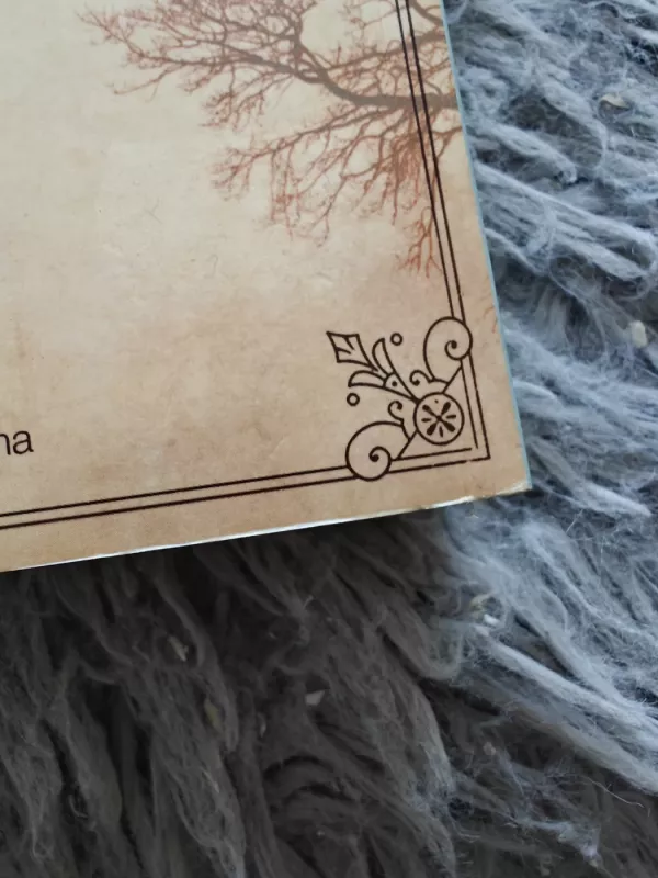 Šešėlių burtai - Nora Roberts, knyga 4