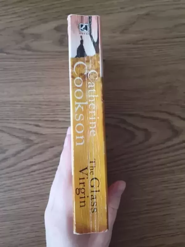 The Glass Virgin - Catherine Cookson, knyga 4